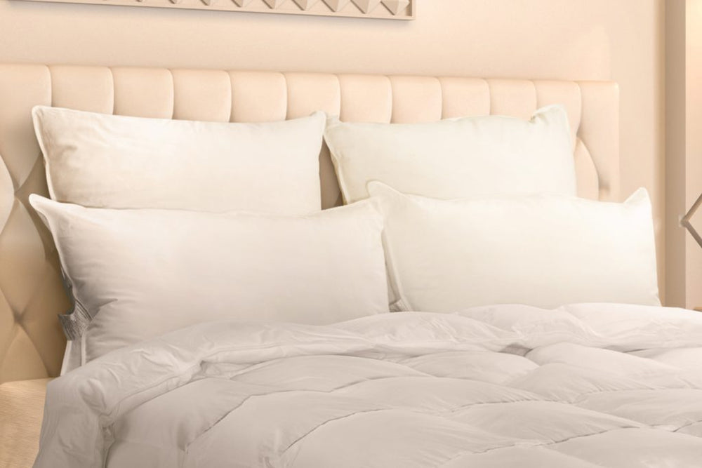 Logana – Siberian WGD Pillow – Firm