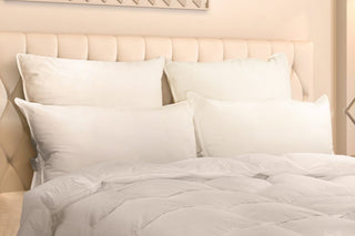 Logana – Siberian WGD Pillow – Firm