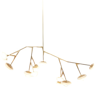 Myriad Chandelier, 12 Long - Cara Woodhouse