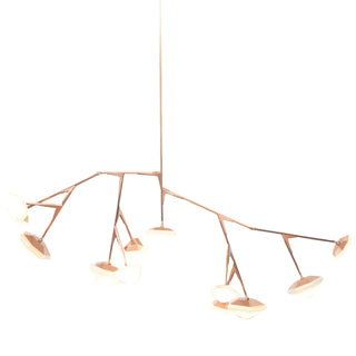 Myriad Chandelier, 12 Long - Cara Woodhouse