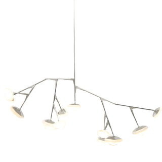 Myriad Chandelier, 12 Long - Cara Woodhouse