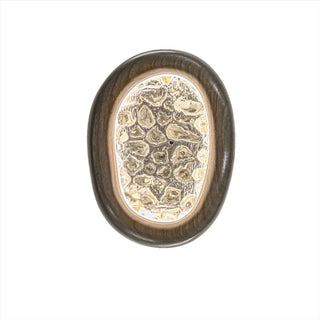 Small Spore Sconce - Cara Woodhouse